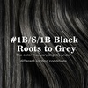 image:imageVe Sunny Seamless Clip ins Human Hair Platinum Blonde Straight 18 InchV3B 1BSliver1B Black Balayage Void Silver