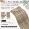 image:imageGood Helper for Styling Wire Hair Extensions and Human Hair Ponytail Blonde Highlights 14inch 160G